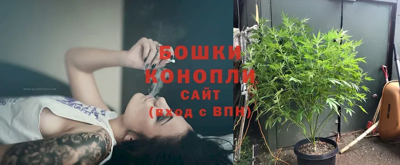 Бошки Шишки THC 21%  где найти   hydra ссылки  Ветлуга 